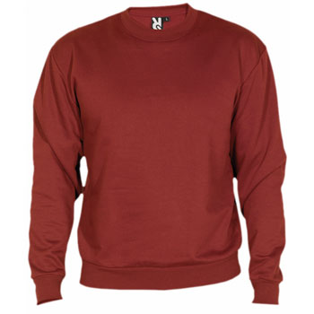 TSR141-Sudadera-publicidad-roly Sudadera promocional niño