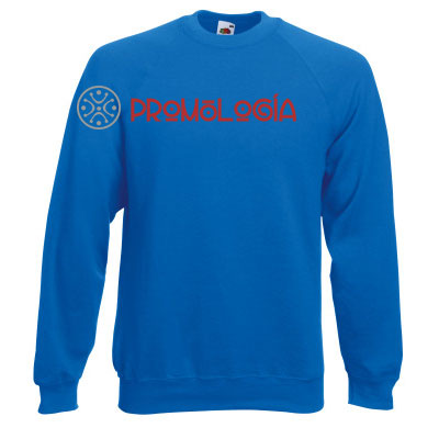 TSF135-Sudadera-ninho-raglan-classic-de-Fruit-of-the-Loom-Color-0 Sudadera niño promocional raglan
